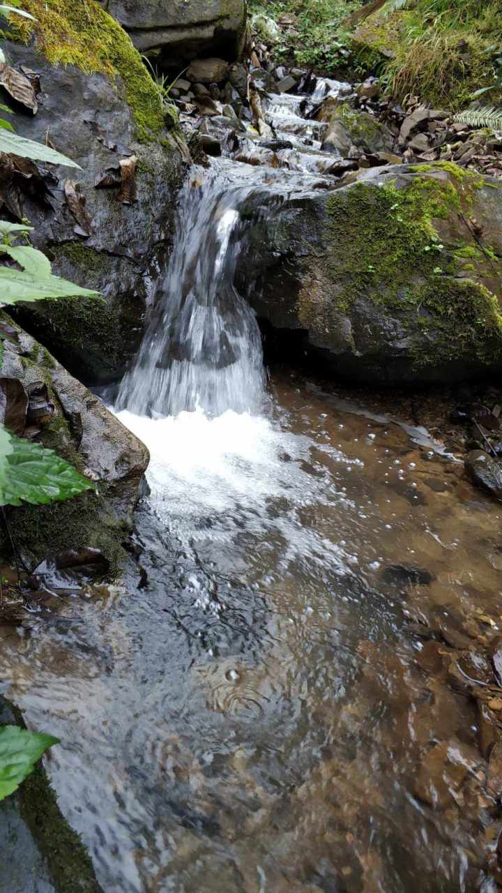 说起这个,最想念小时候山里的山泉水,有小小的泉眼.