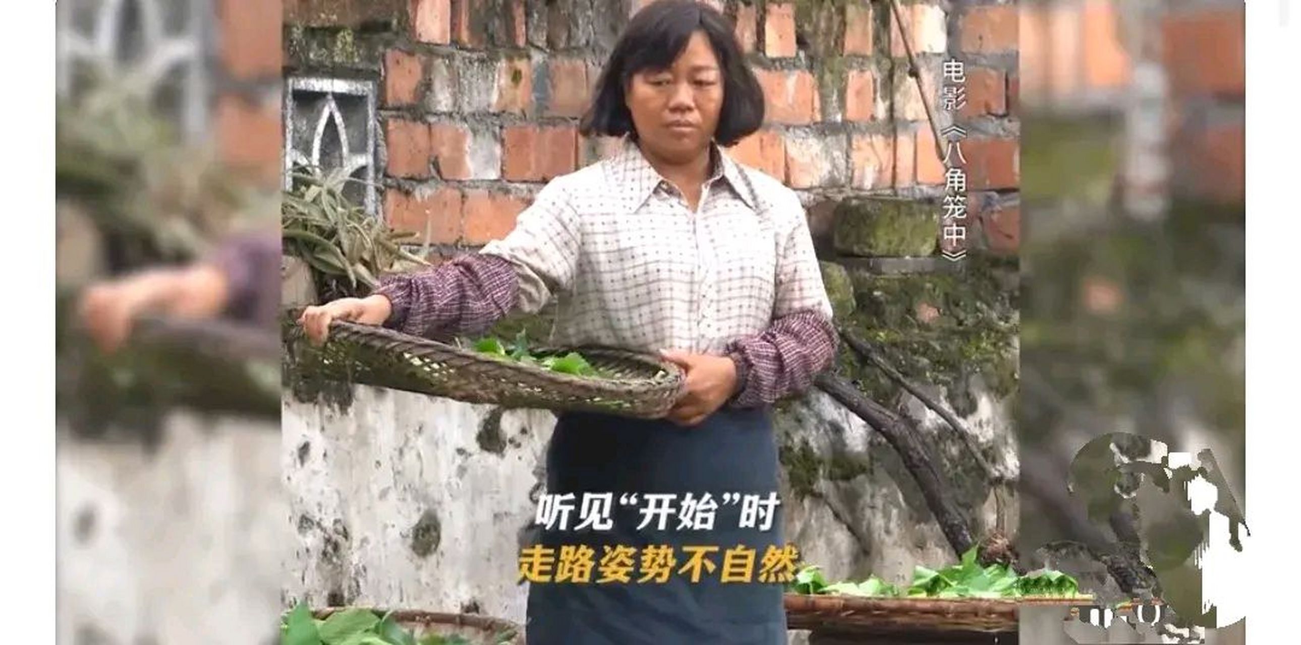 《八角笼中》亲姐姐是王宝强男扮女装!