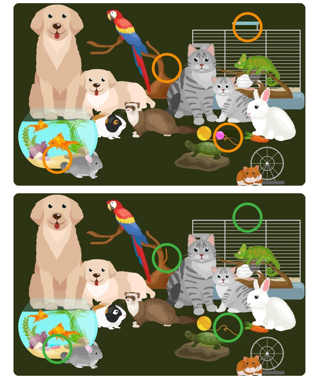 图片找不同(五四)