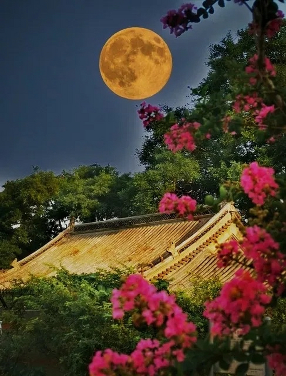 花好月圆春十五, 桃李争妍芬芳吐.