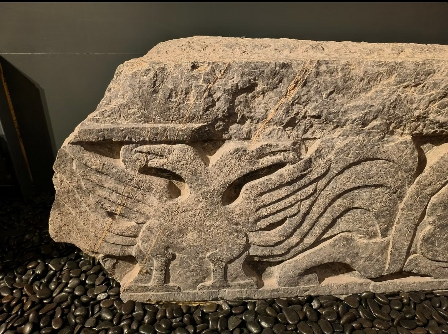 汉画像石馆里的双头鹰—中国双头鹰