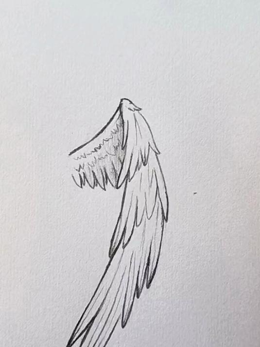天使的翅膀怎么画
