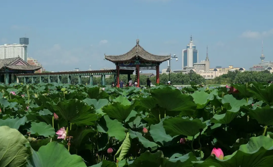 北京公園年票包括哪些景點?