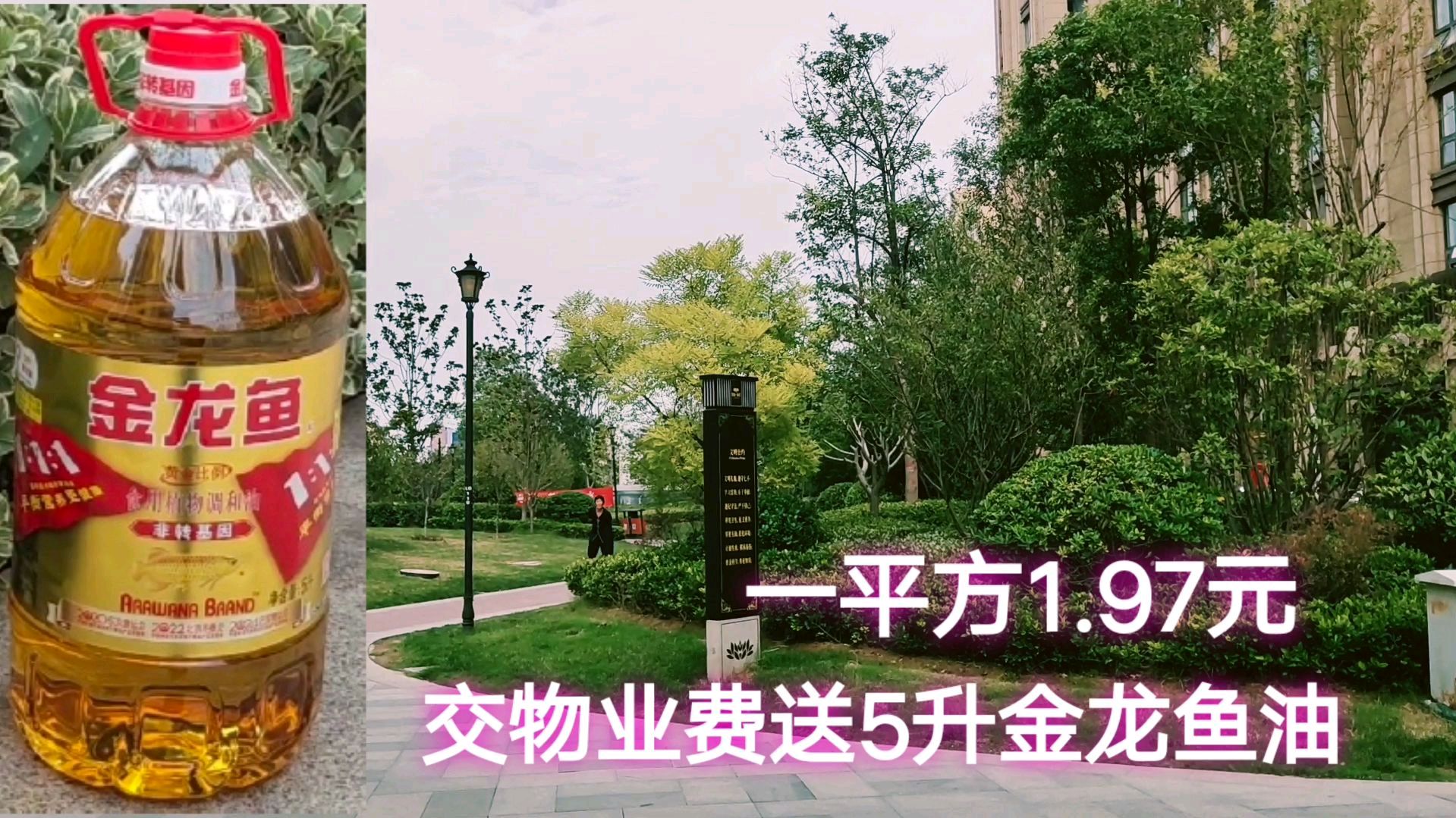小区交物业费送一桶金龙鱼油,一平方1.97元贵不贵