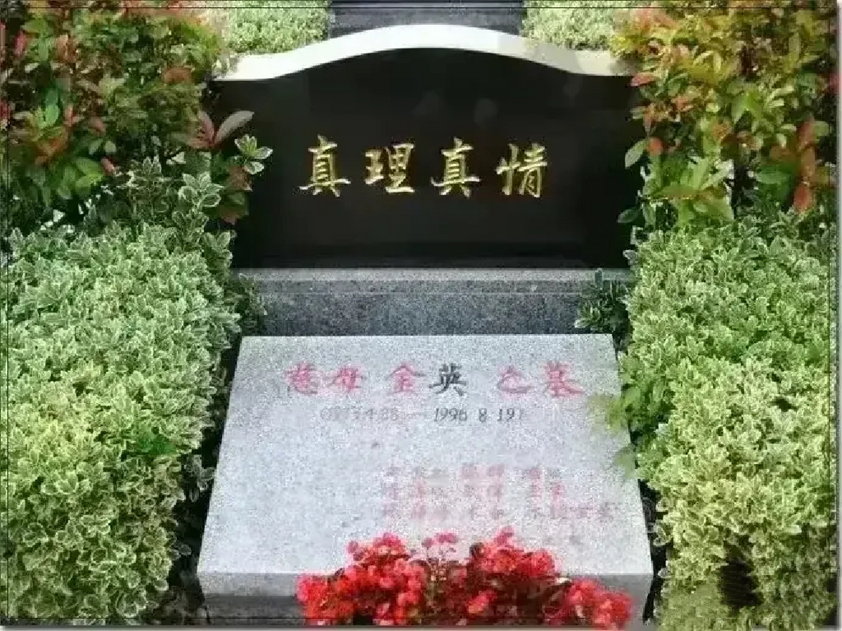 但是这个合葬墓的墓碑上并没有刻姚文元的名字,只刻有妻子金英的