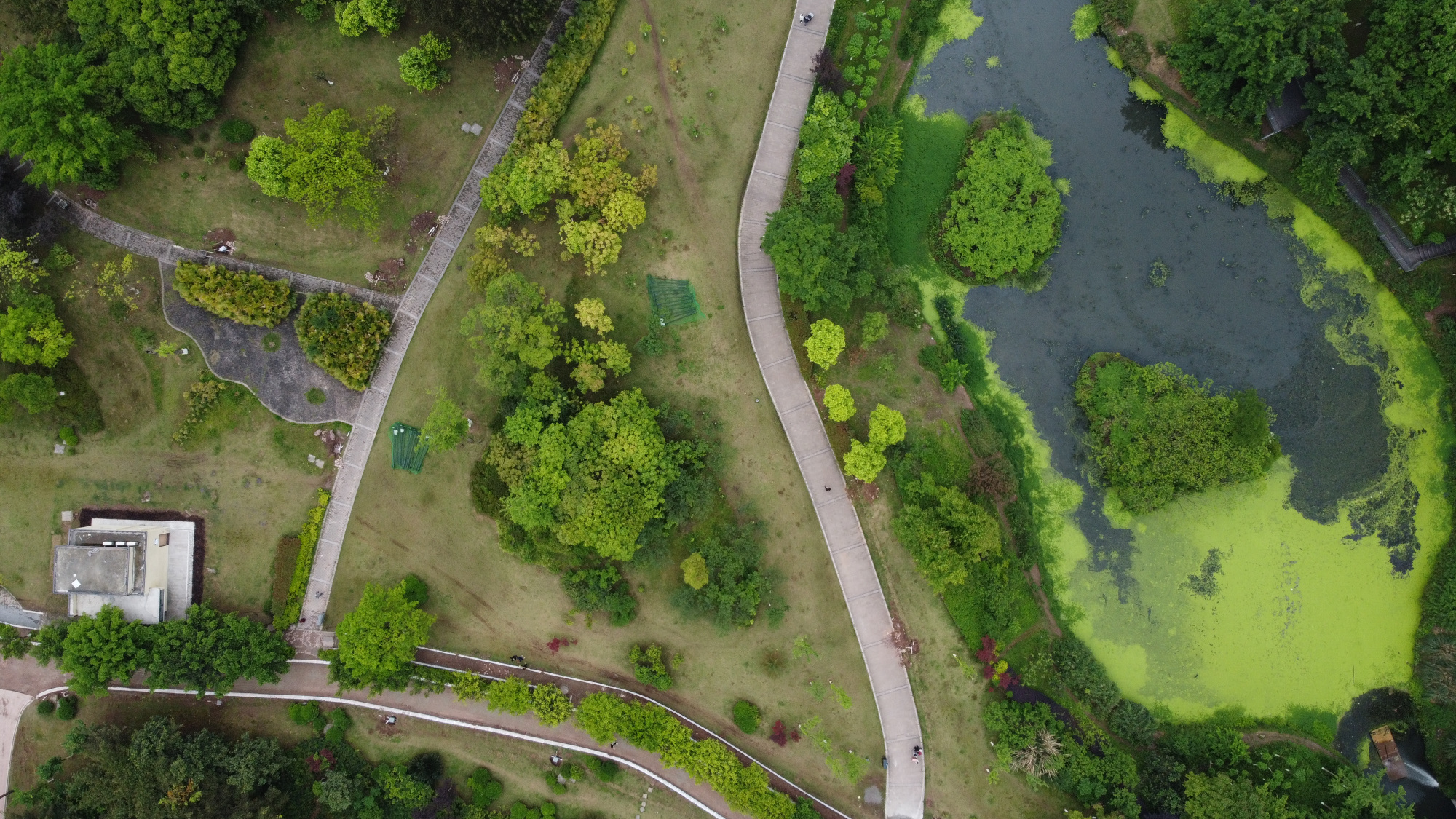 重庆大学城好大一个公园