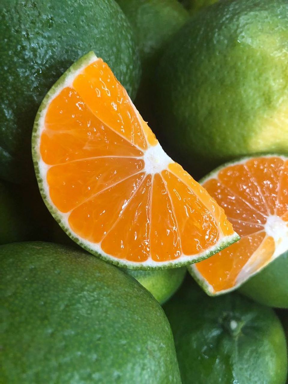 在阳光明媚的日子里,云南华宁的无籽蜜桔为大家带来了惊喜的味道.