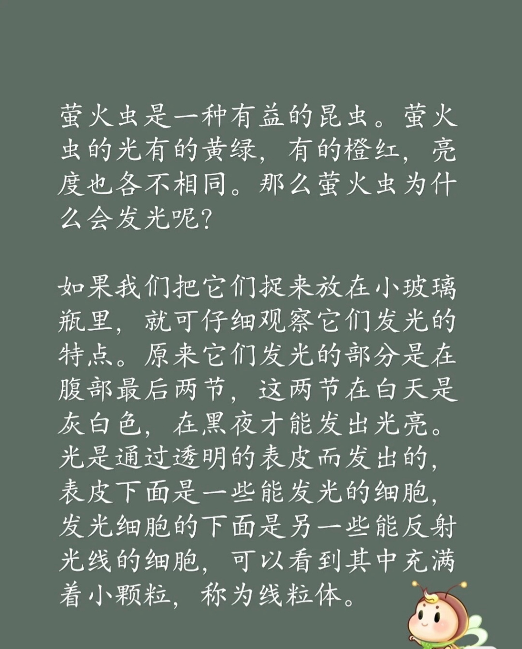 萤火虫是益虫还是害虫图片