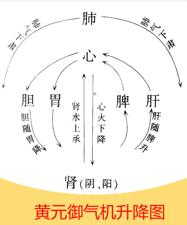 黄元御与《四圣心源》