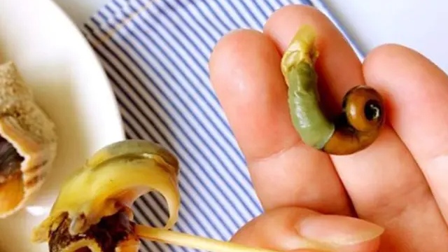 海螺肝能不能吃呢?老师傅给你分析其中原因