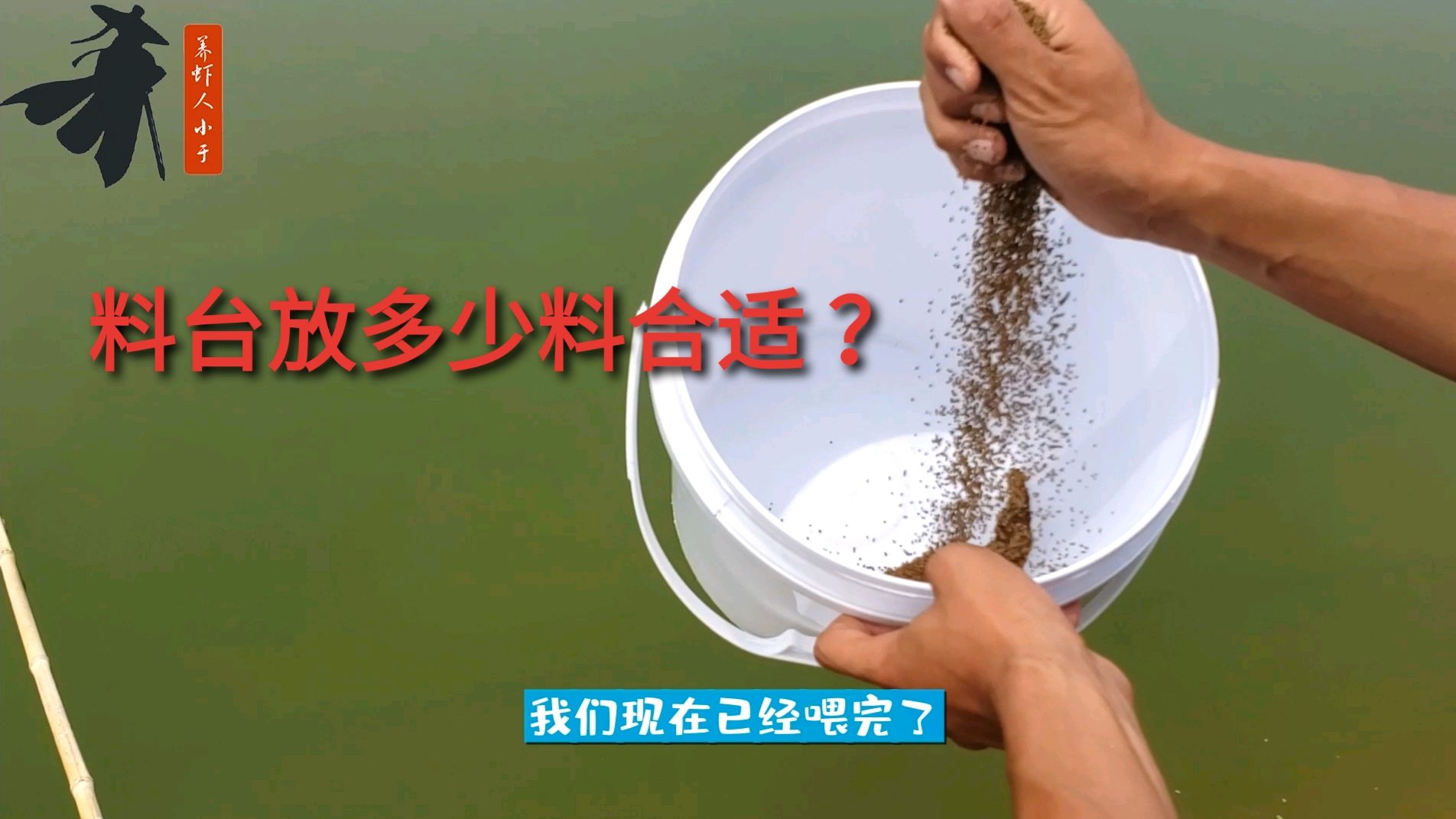 养虾日常投喂,料台放多少料合适?