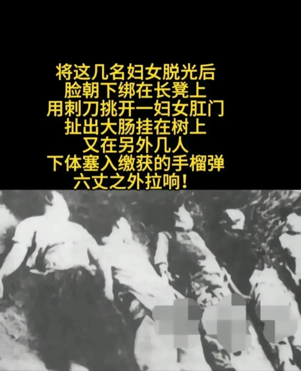 这段黑暗的历史给我带来了很多痛苦和痛心,让我感到愤怒和无法容忍.