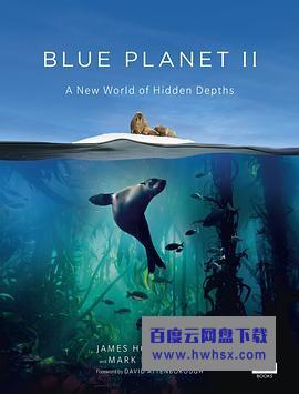 [蓝色星球 第二季][全集]4k|1080p高清百度网盘