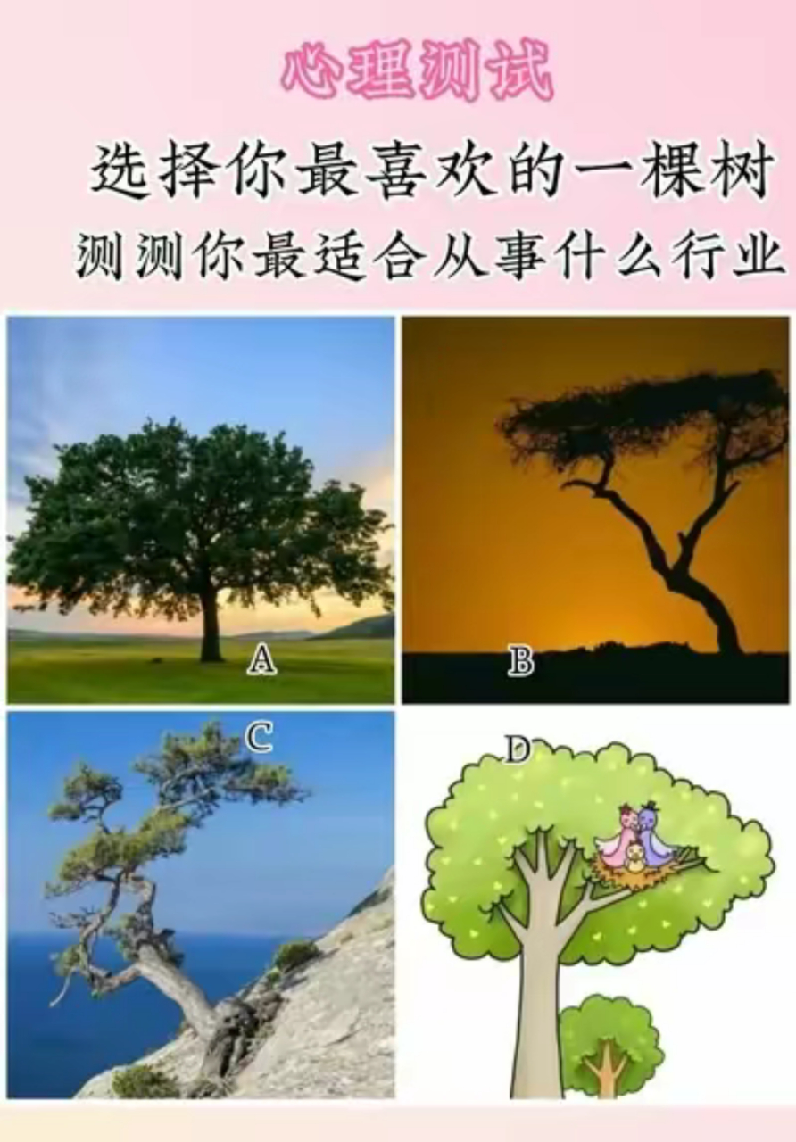 心理测试 选择你最喜欢的一棵树测测你最适合从事什么行业
