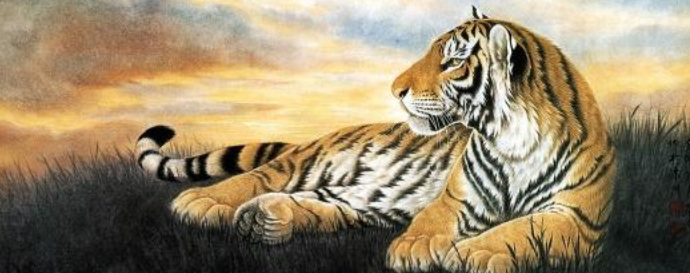 企足而待指什么生肖，权威解答