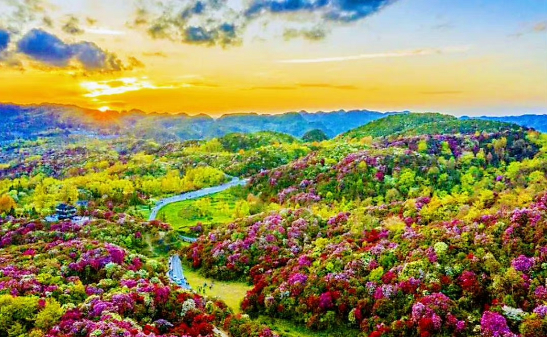 贵州百里杜鹃风景区,享有"地球彩带,世界花园"等美誉! 67