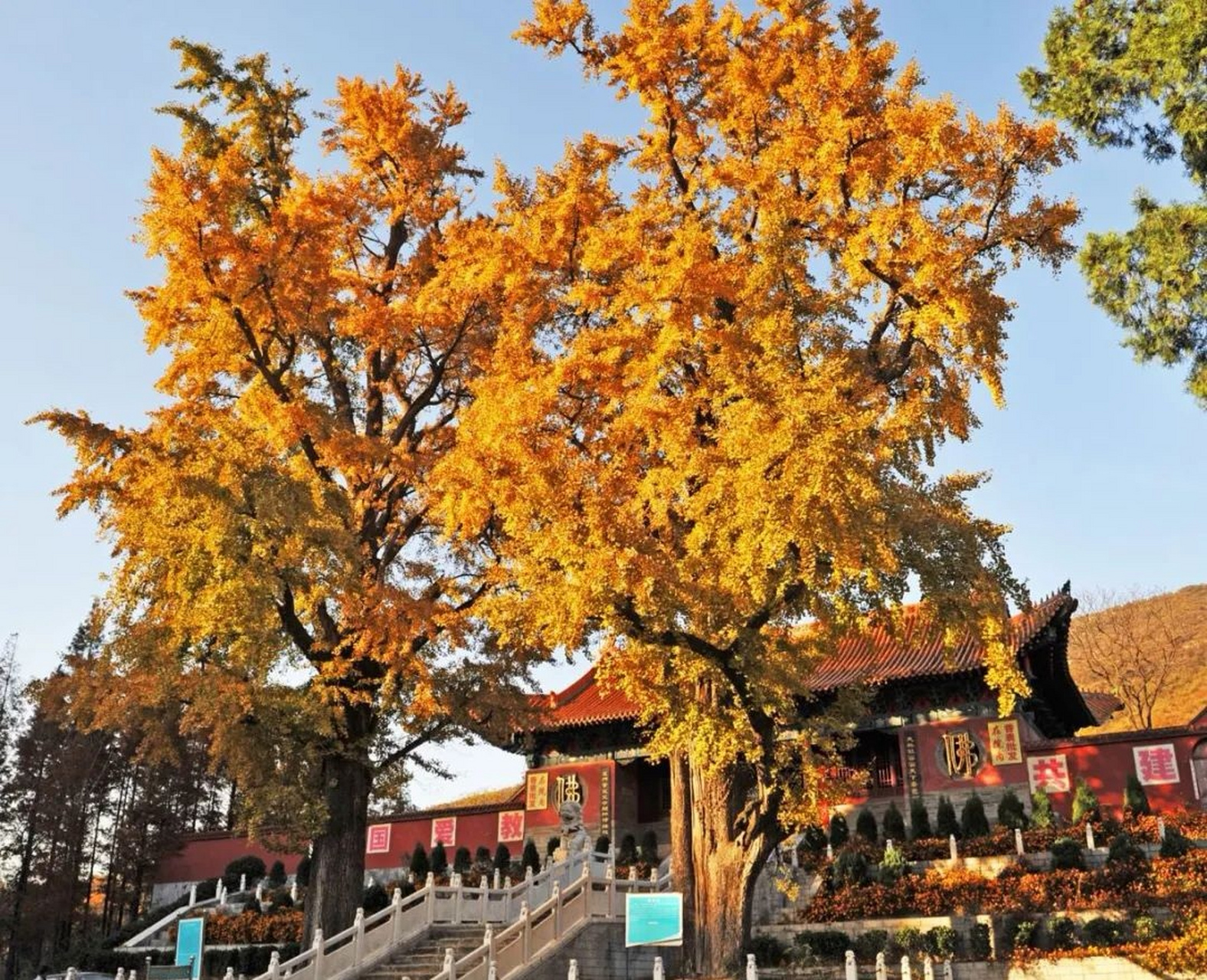 我眼中的方城# 大乘山距河南省方城县城东南15公里,属桐柏山脉,主峰