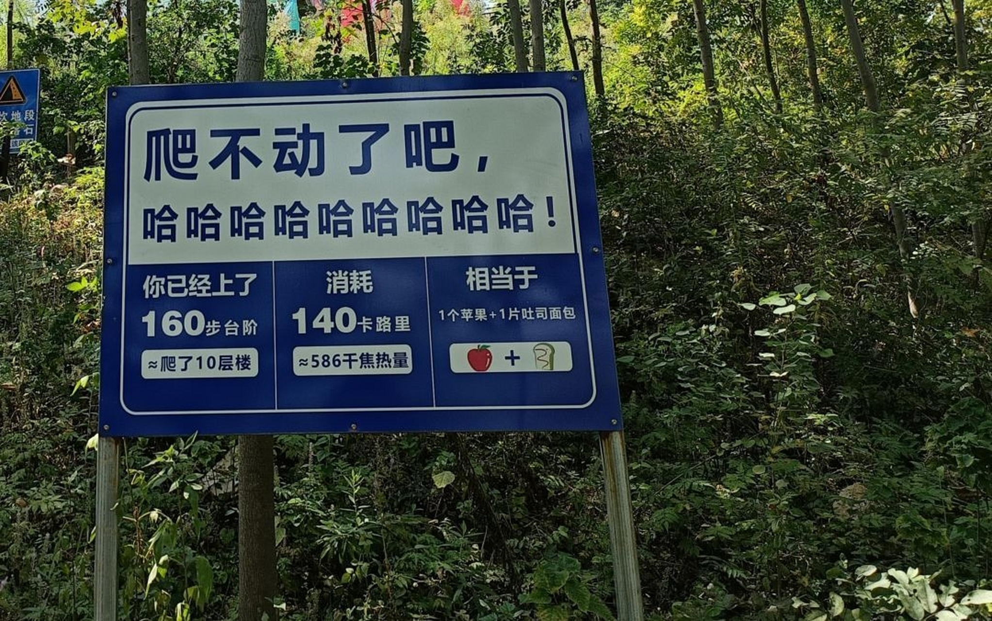 好贱的牌子,不过我喜欢