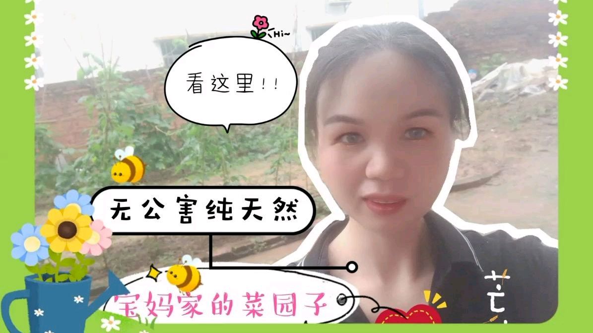 宝妈家在农村,却没有土地种菜,看她在院子里开辟出来的菜园子