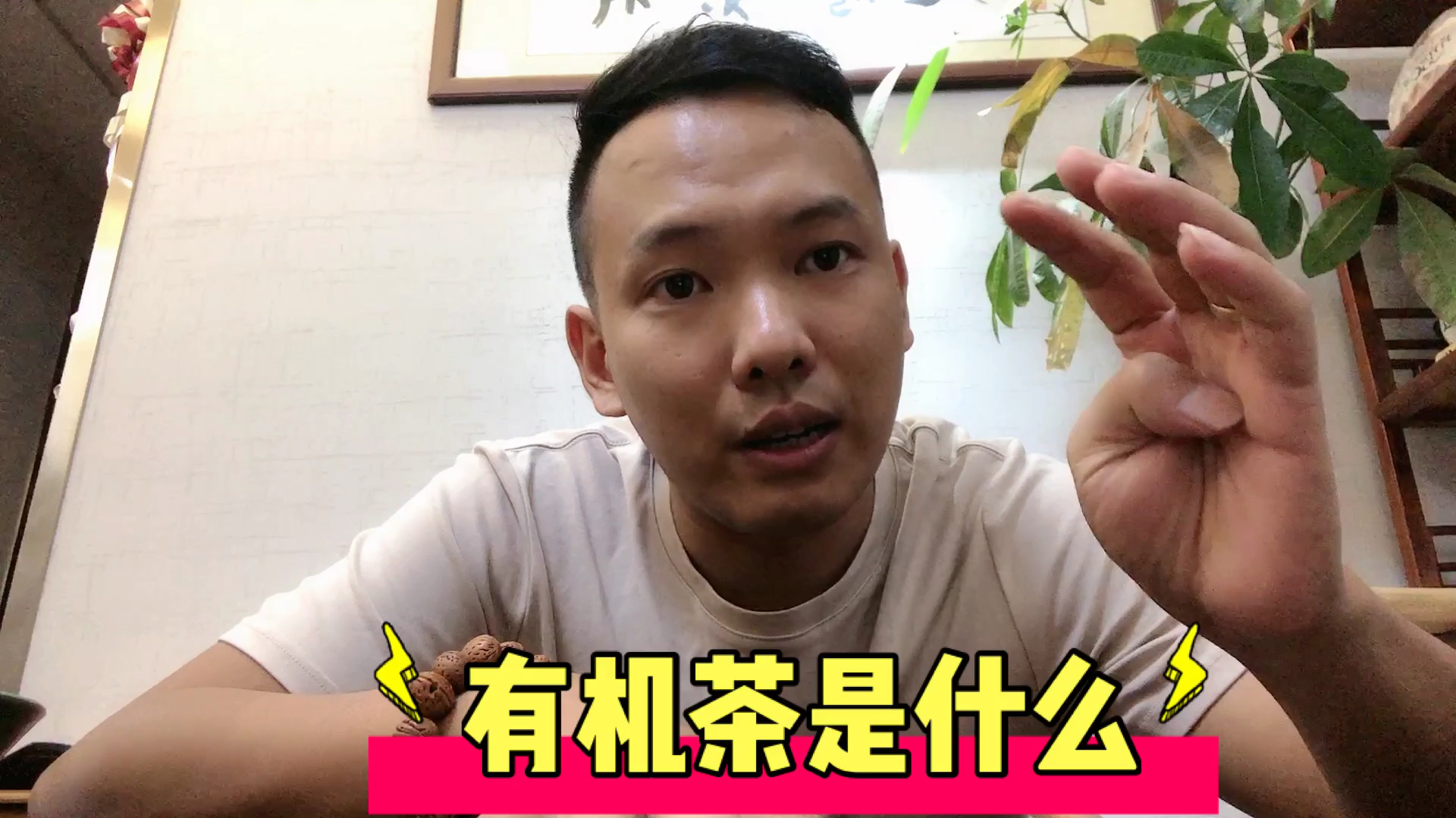 有机普洱茶是什么意思?像白菜一样的标志,制作过程非常的严苛