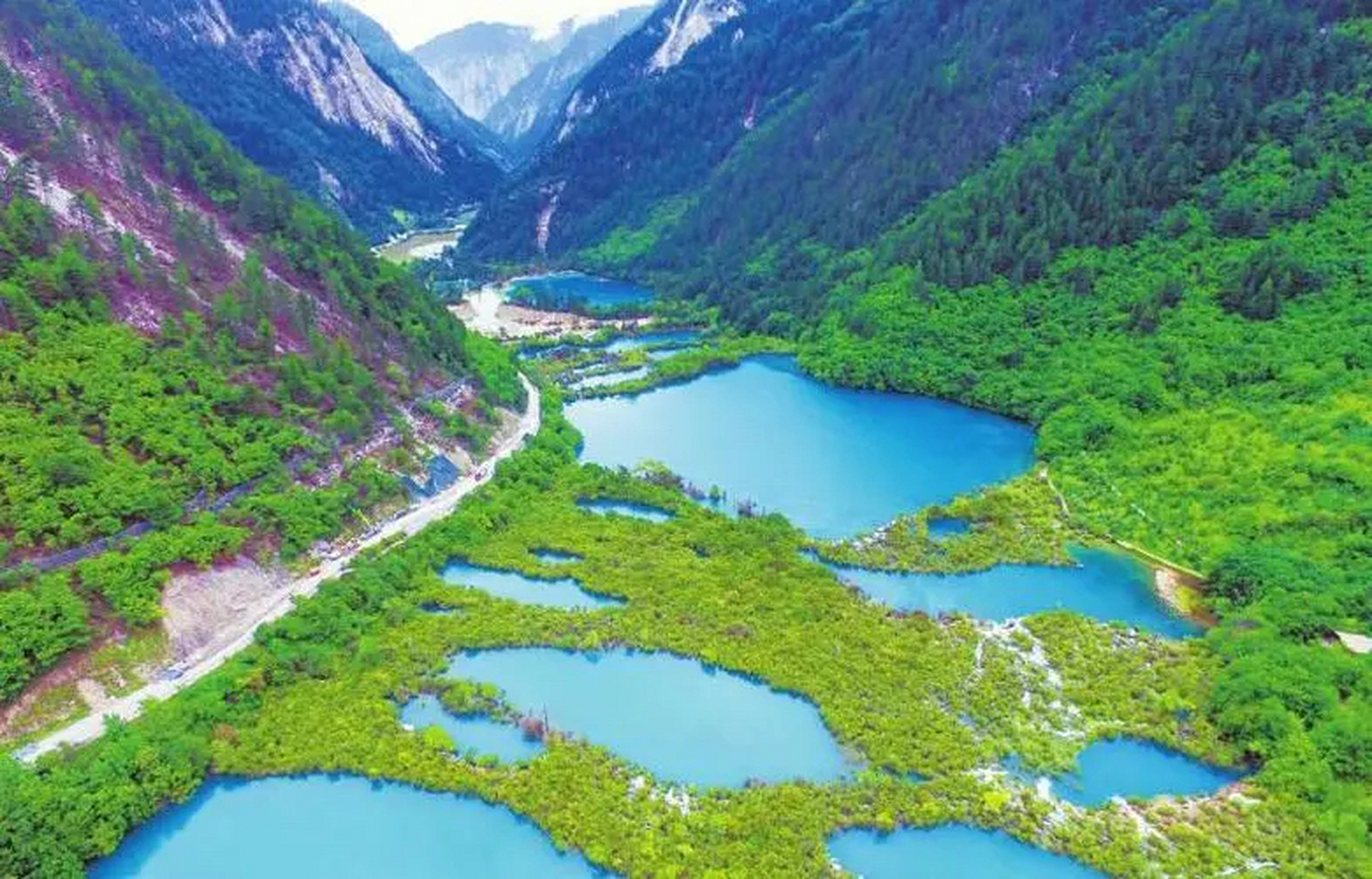 树正沟:它是九寨沟风景区"y"型布局下支的一条溪流,是景区的重要组成