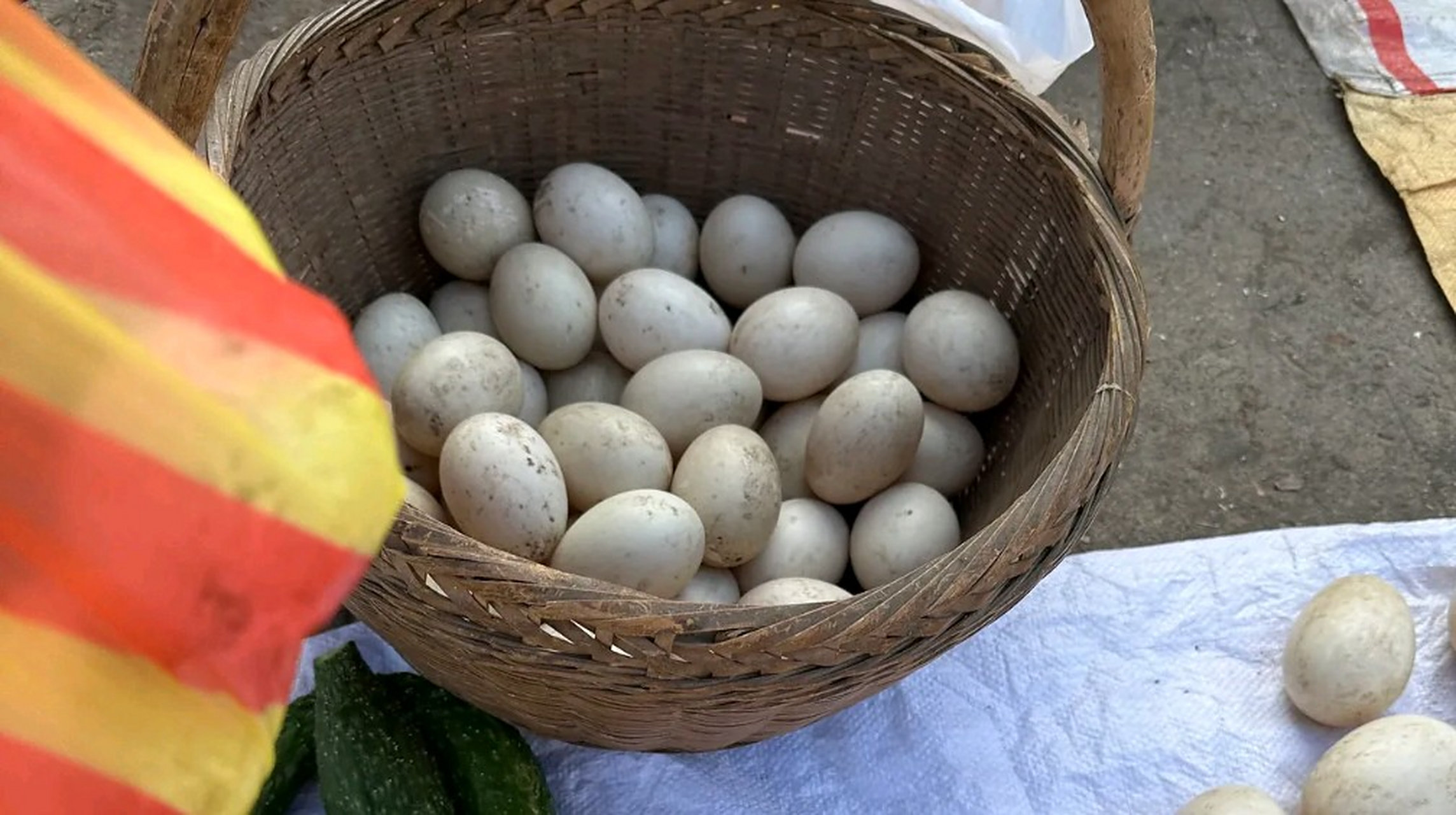 鸳鸯蛋…我太孤陋寡闻了!第一次见,赶紧蹲下来挑了10个.