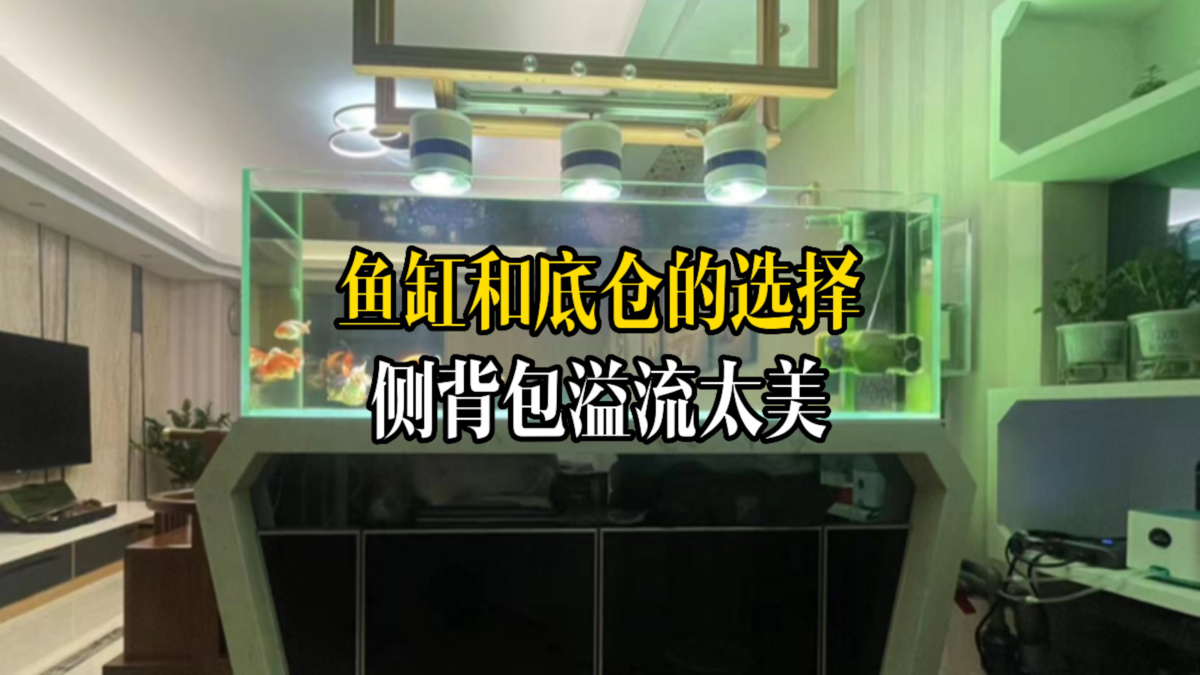 养观赏鱼鱼缸和底仓的选择,测背包溢流的底滤鱼缸太美