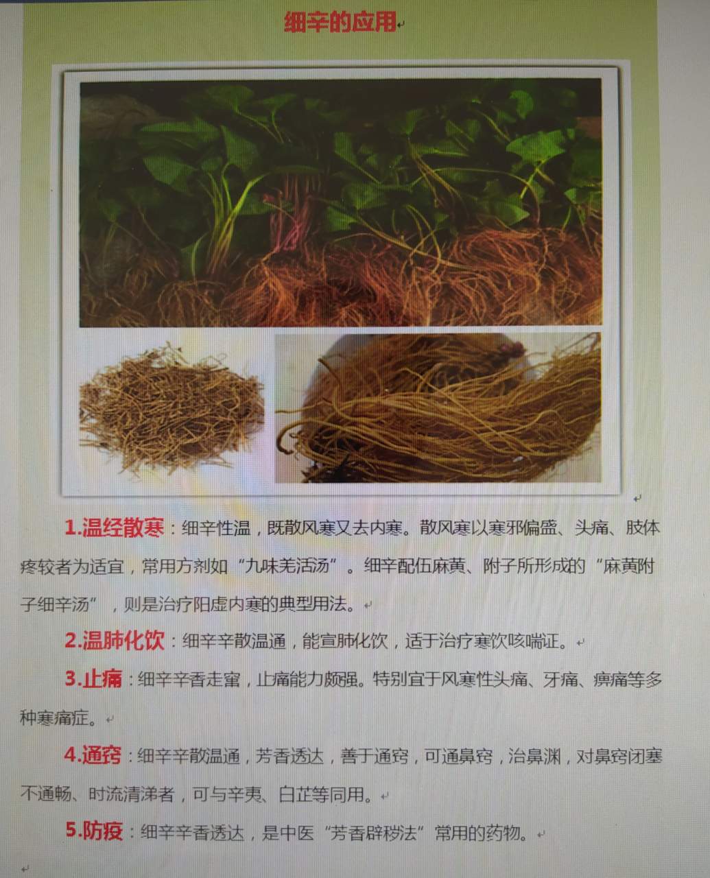 中药"细辛"一一药性功效