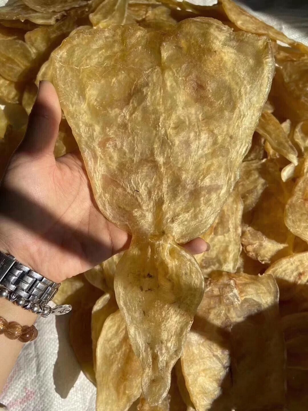 鱼鳔- 热门商品专区