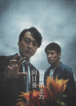 雨中消失的向日葵IMDb评分