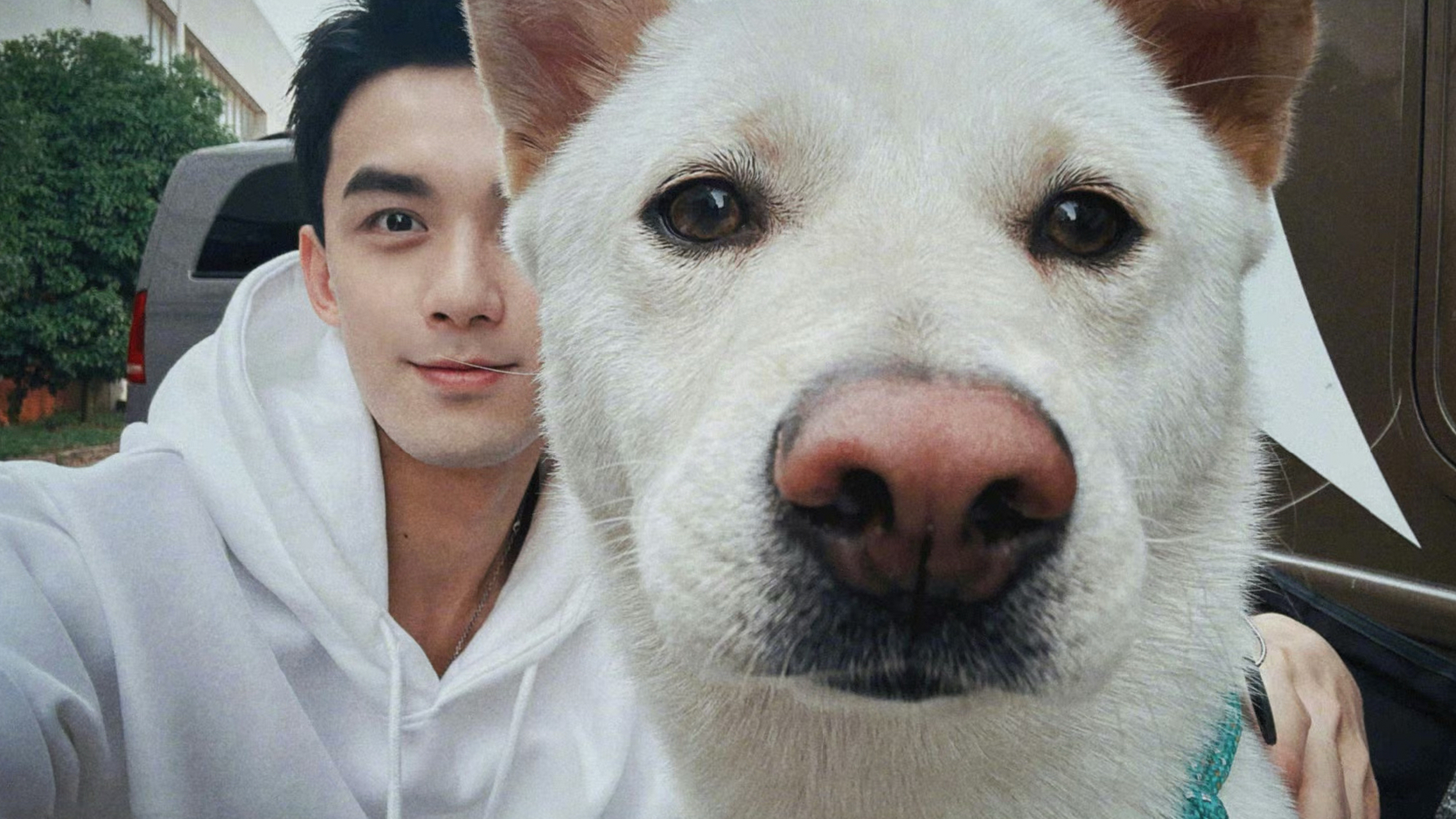 吴磊和狗子的360°自拍05