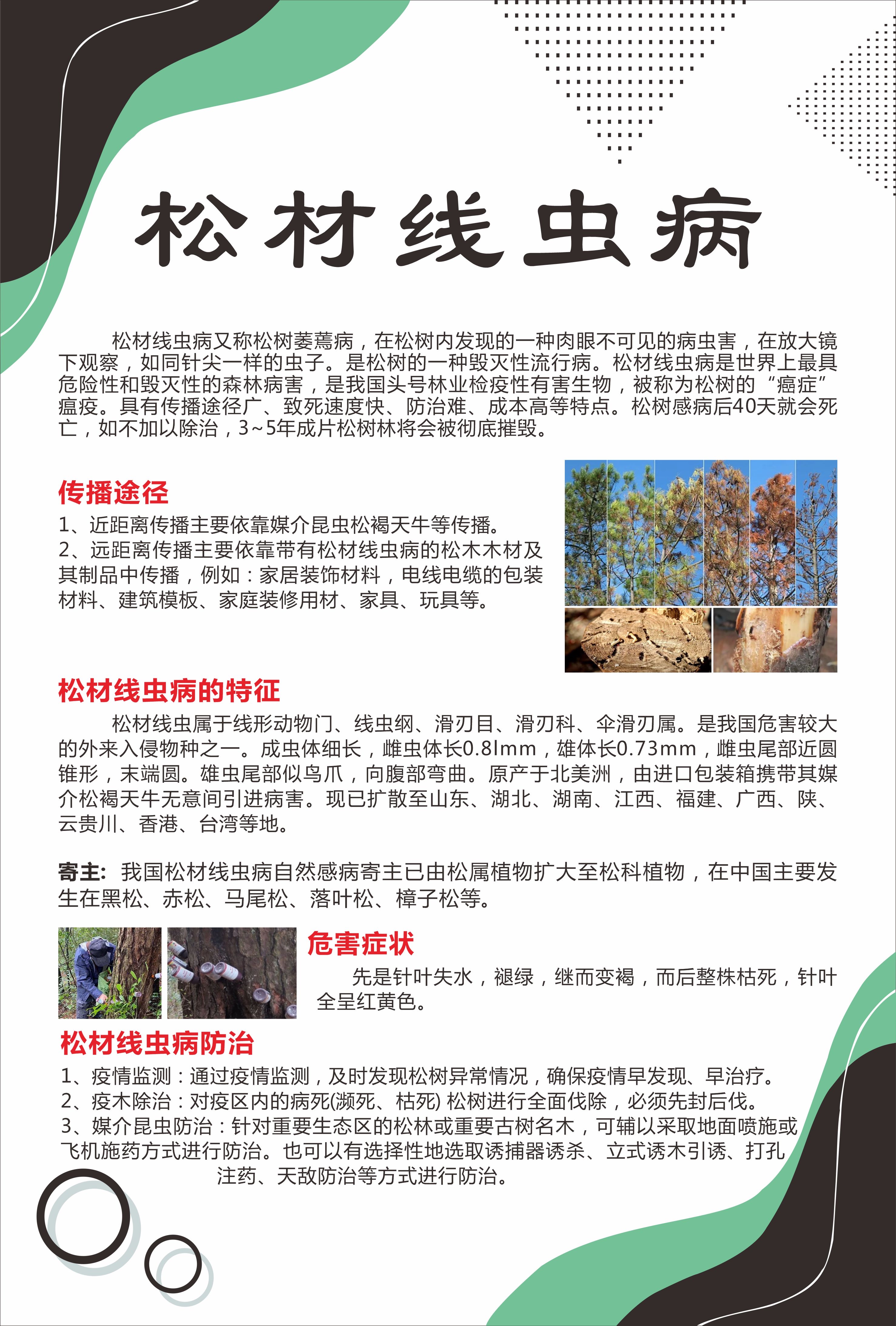 松材线虫病如何防治