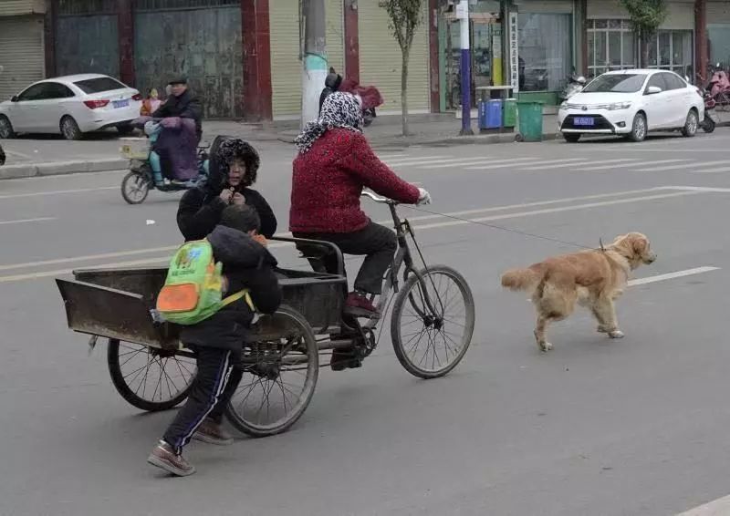 河南一小學禁止騎三輪接孩子,否則處罰家長,將車拖走