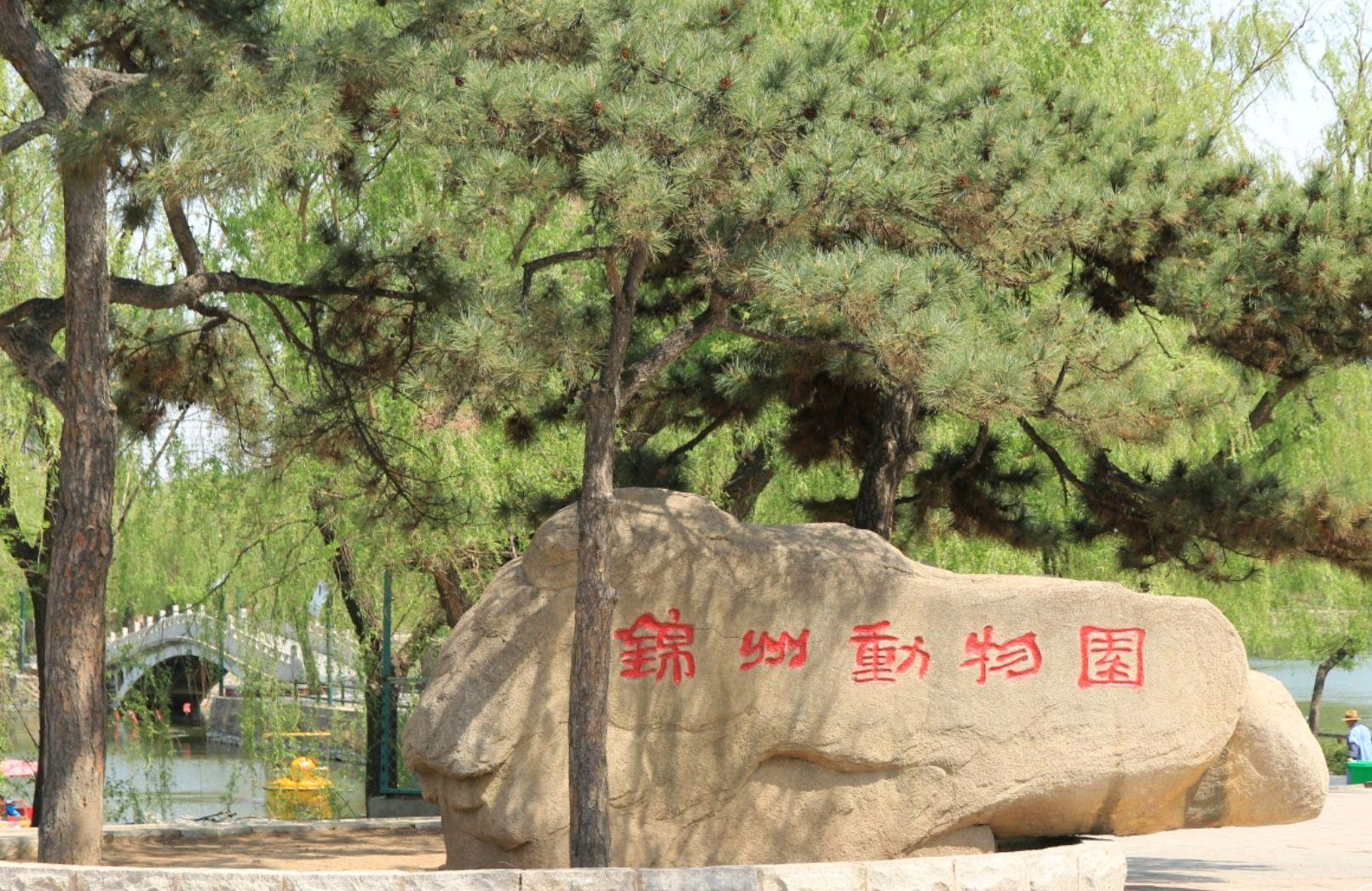 锦州:北湖公园闭门大改造,动物园却开始恢复营业了
