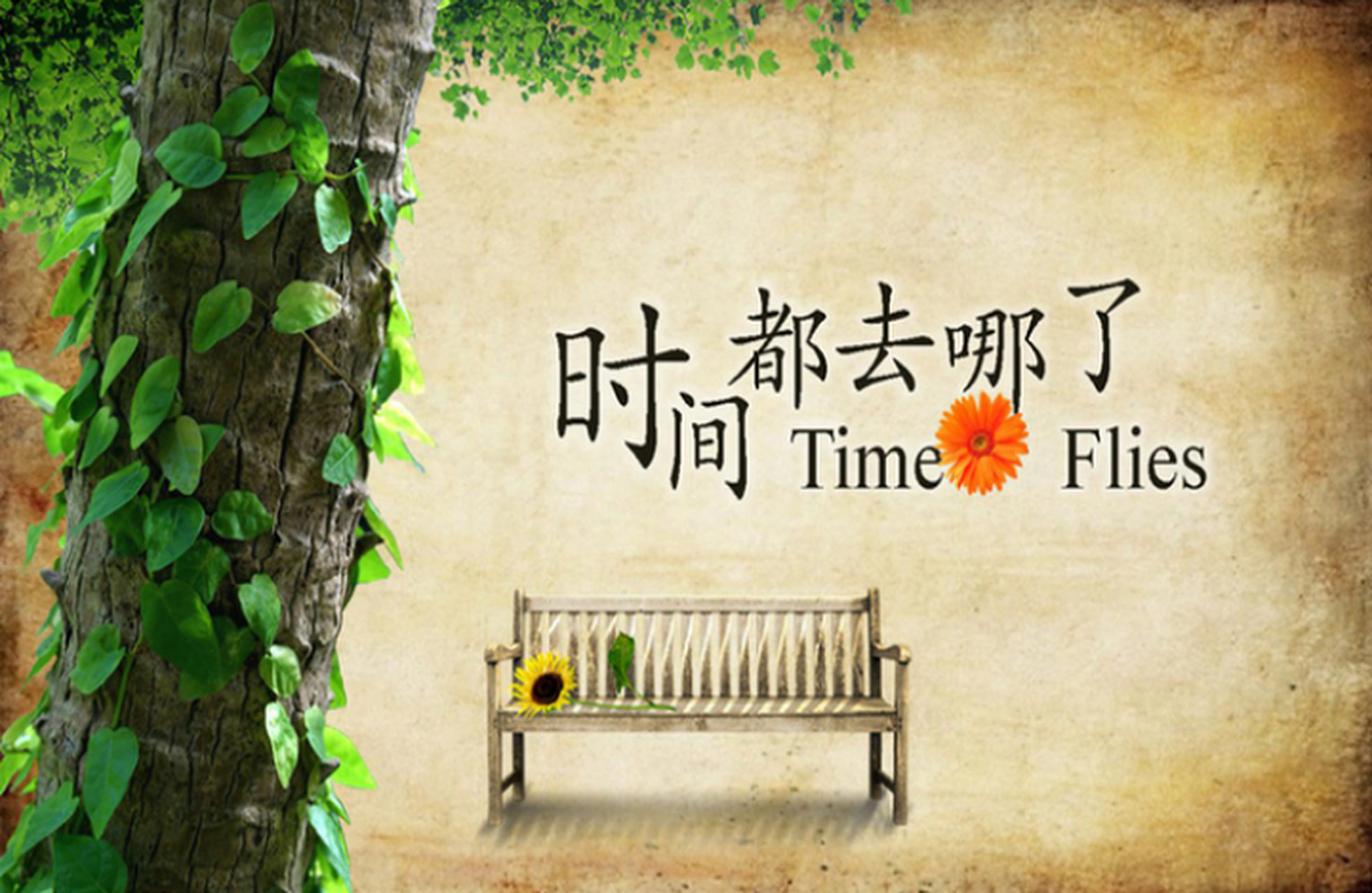 时间都去哪里了
