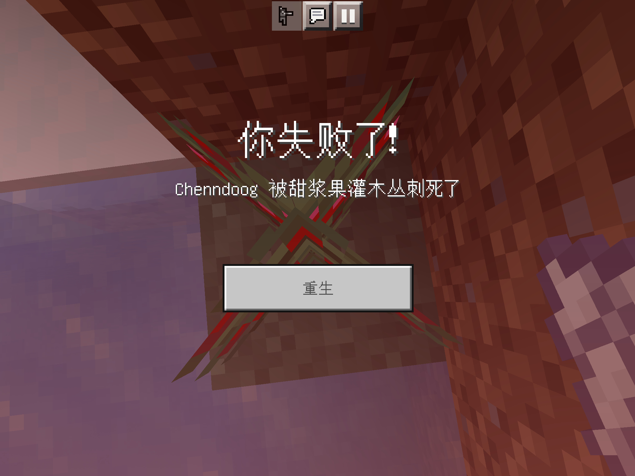 我的世界的死法(2)