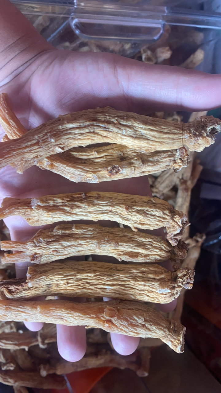 原枝高丽参别直参