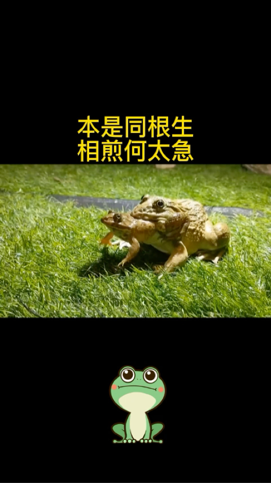 本是同根生相煎何太急?