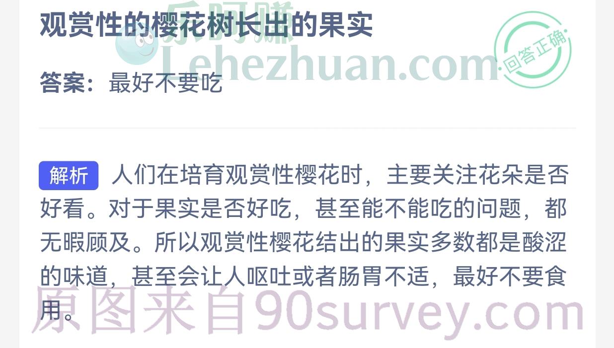 观赏性的樱花树长出的果实可以吃吗？答案：最好不要吃