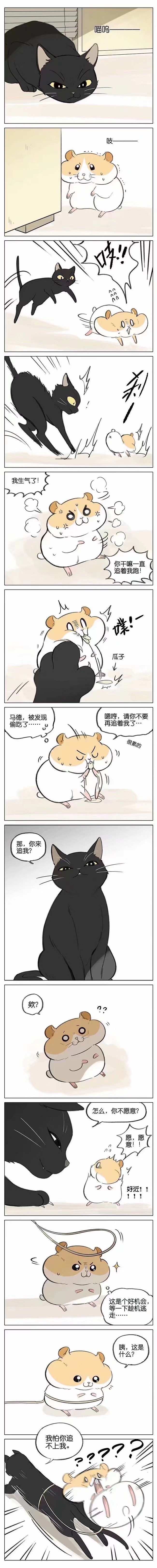 仓鼠和猫咪,真是太可爱了. #二次元漫画# 画师:吉川流