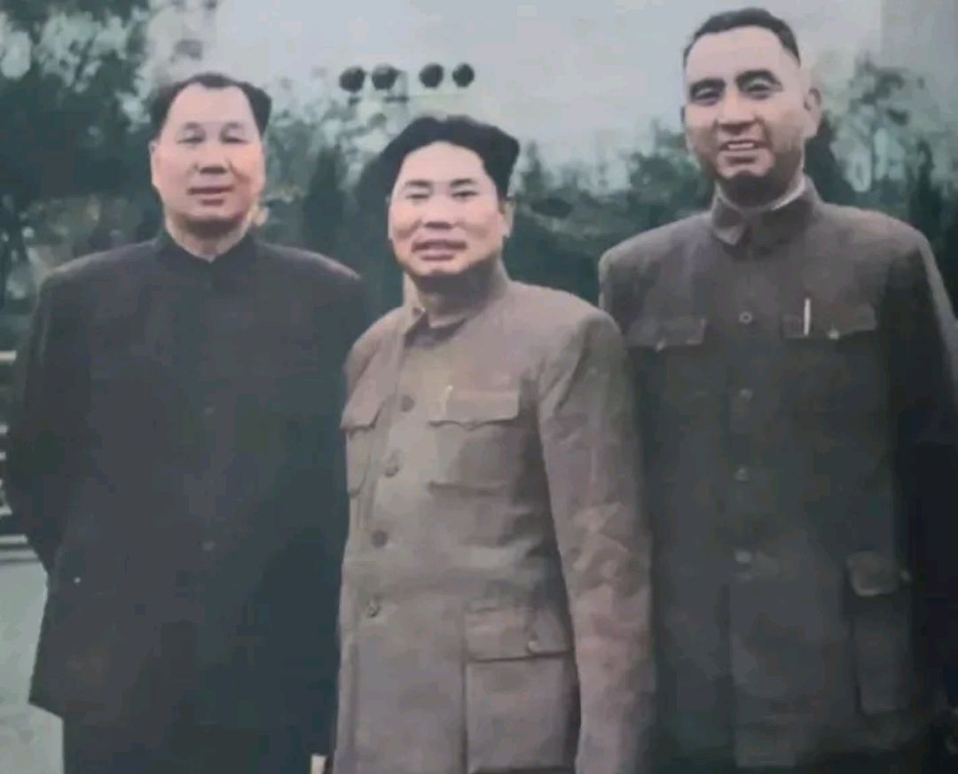 杨得志,杨成武,杨勇三位杨姓将军的珍贵合影