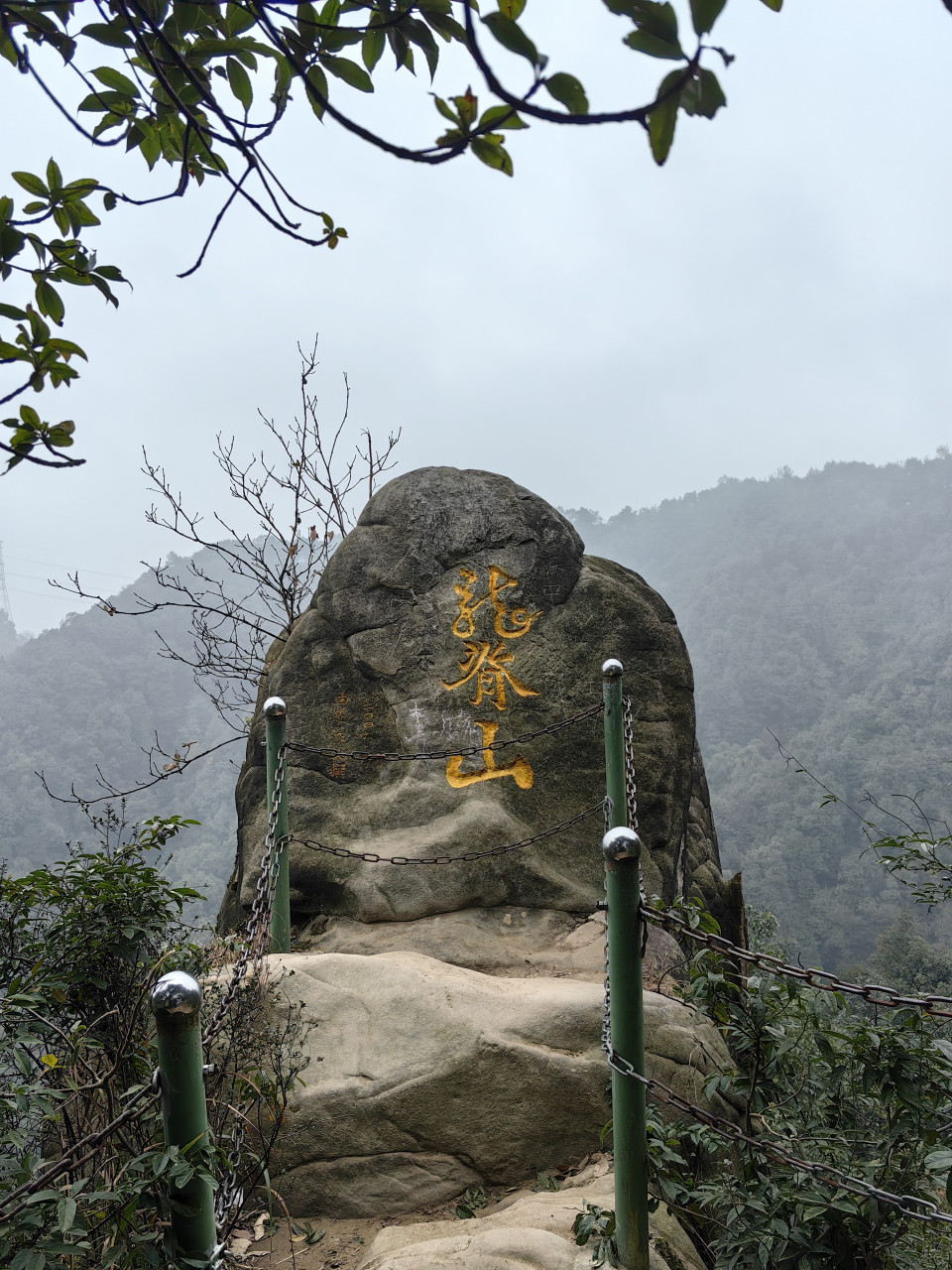 看到有重庆网友去爬南岸龙脊山,说是看到了有野猴子,这是真的吗?