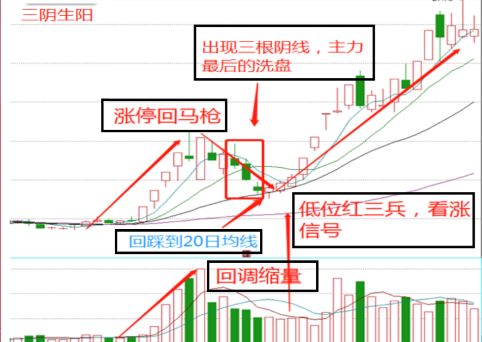 老股民珍藏10年的选股原则,一旦读懂精准捕捉黑马股,高效实用