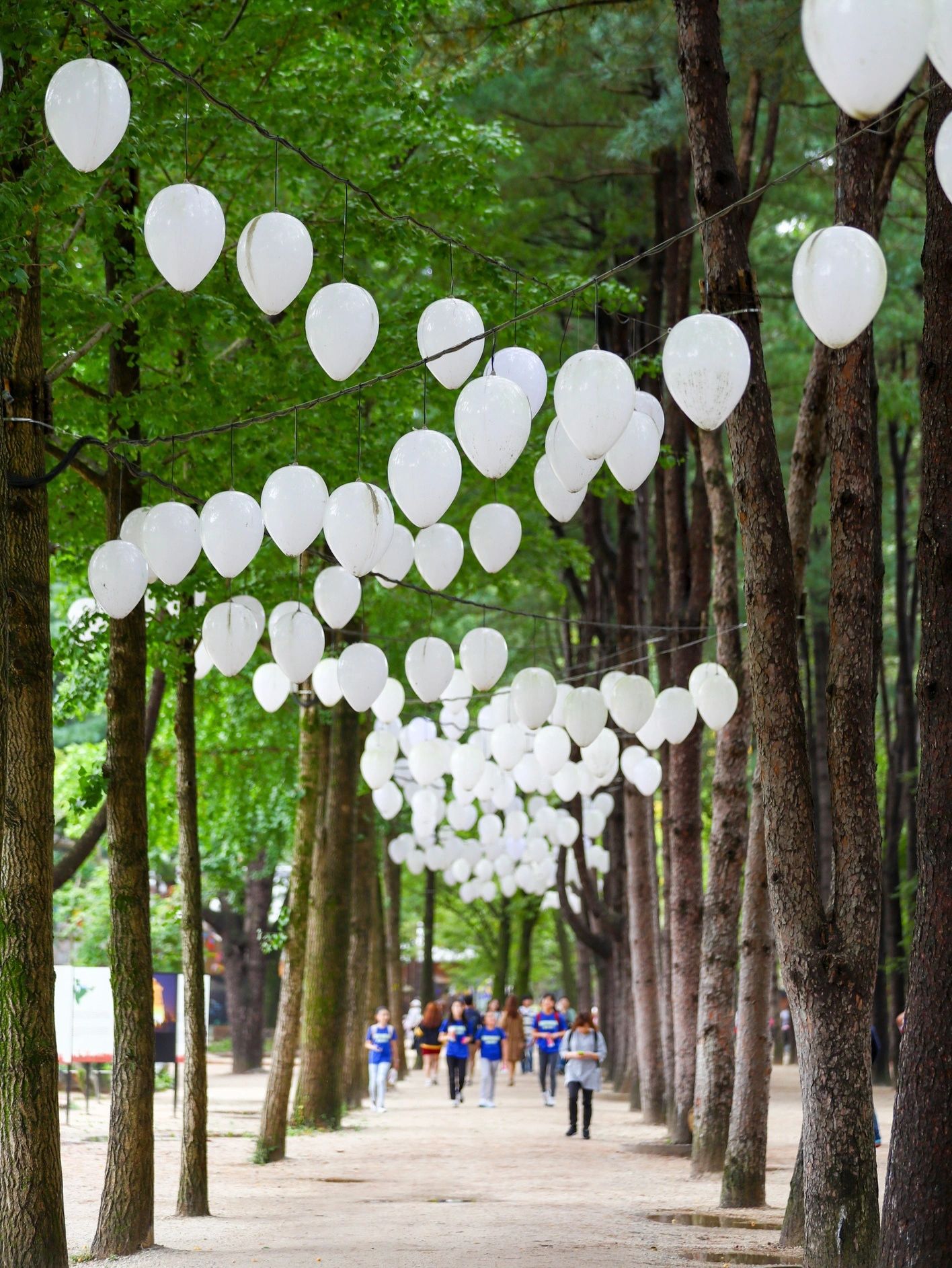 韩国·春川 一日游攻略
