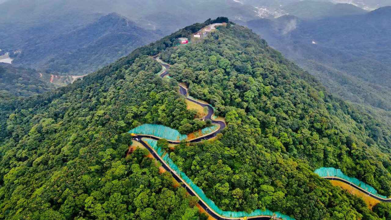 黄埔"区灯"——中华灯,你见过吗?