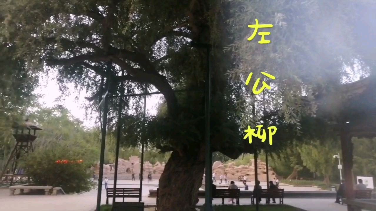 葡萄美酒夜光杯的故乡,霍去病与左宗棠停留的地方,旧貌换新颜