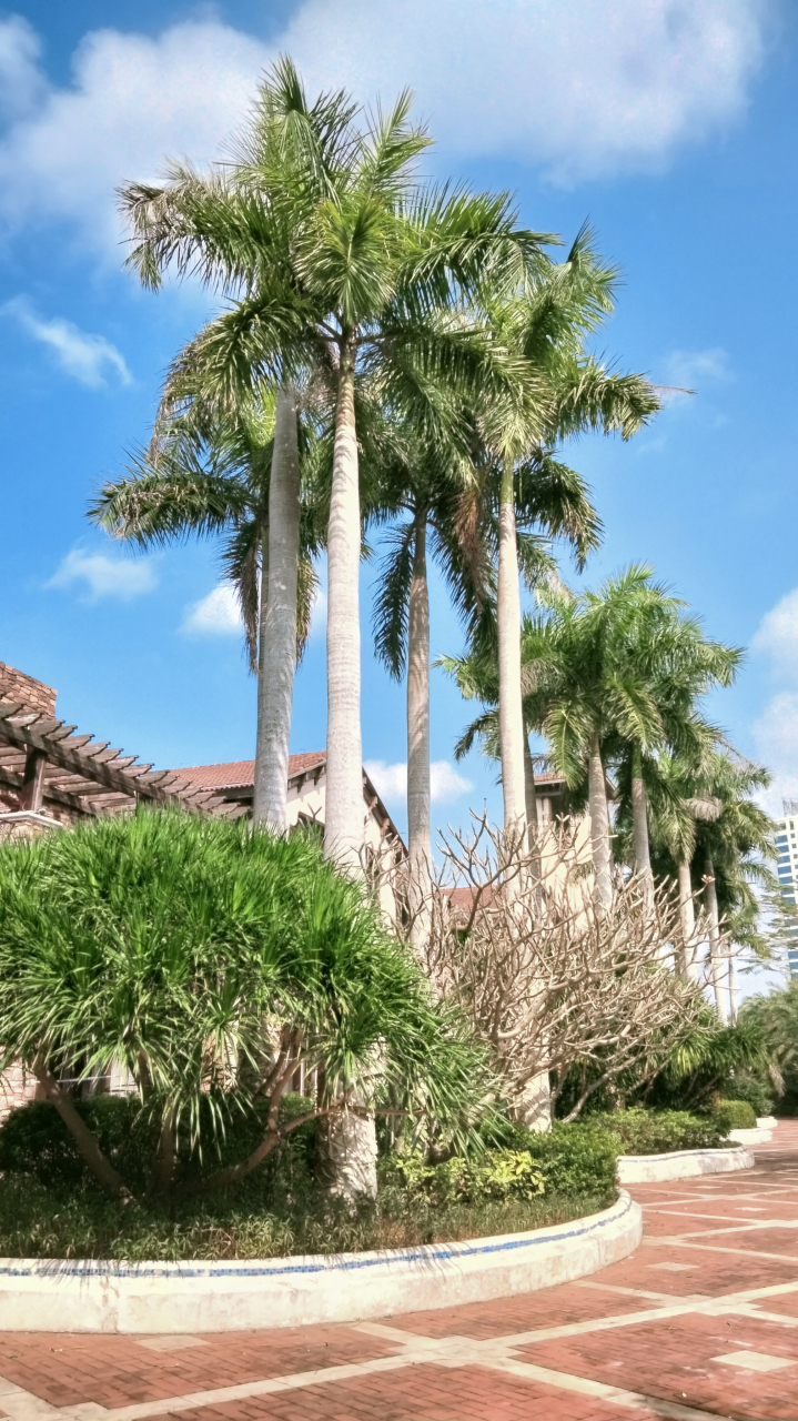 海南澄迈盈滨半岛旅游度假区位于海口西部,与海口秀英区相邻,距海口