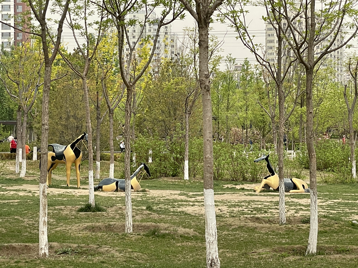 西小口公园成为网红打卡地