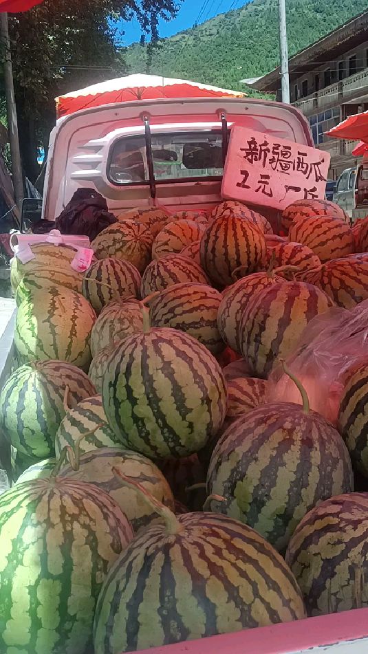 卖西瓜啦#生活不易#摆摊#求求你给点力!