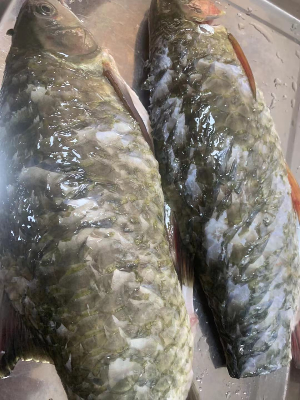 不是禁渔期的时候,就以野生河鱼为主,水库鱼为辅.